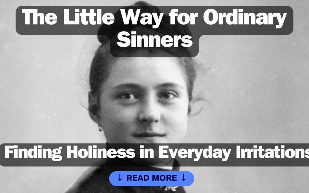The Little Way for Ordinary Sinners: How to grow in holiness in everyday irritations